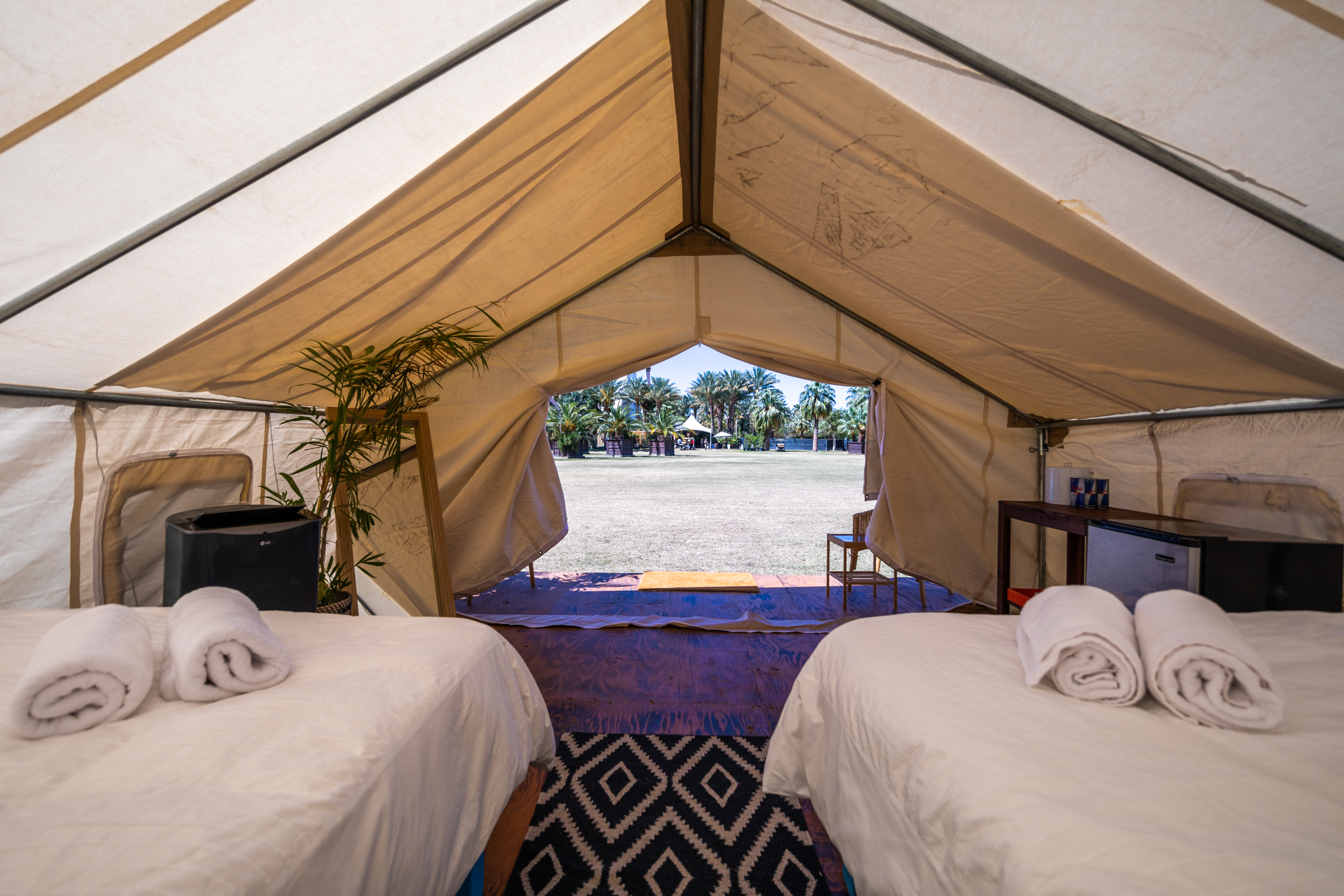 how many safari tents at coachella